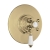 Delphi Windsor Brushed Brass 1-Outlet Concentric Concealed Shower Valve | Thumbnail Image