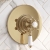 Delphi Windsor Brushed Brass Dual Concentric Concealed Shower Set with Slide Rail Kit | Thumbnail Image