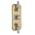 Delphi Windsor Brushed Brass 2-Outlet Triple Concealed Shower Valve | Thumbnail Image