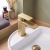 Duchy Caradon Brushed Brass Mono Basin Mixer Tap (inc Press Top Waste) | Thumbnail Image