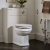 Duchy Maine 500mm Back-to-Wall WC Unit