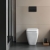 Geberit Delta50 Flush Plate for Dual Flush - Black