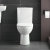 Geberit Selnova Close Coupled Toilet with Push Button Cistern - Standard Seat