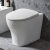 Geberit Selnova Rimless Shrouded Back to Wall Toilet - Quick Release Soft Close Seat