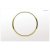 Geberit Sigma10 Single Flush Plate - White/Gold