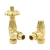 Heatwave Wyndham Polished Brass Angled Thermostatic Radiator Valve Set | Thumbnail Image