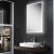 HiB Globe 50 Steam Free LED Bathroom Mirror 700mm H x 500mm W