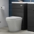 Hudson Reed Fusion 500mm Back-to-Wall WC Unit
