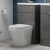 Hudson Reed Fusion 500mm Back-to-Wall WC Unit