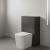 Hudson Reed Juno/Havana 500mm Back-to-Wall WC Unit