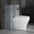 Hudson Reed Lille 550mm Back-to-Wall WC Unit