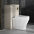 Hudson Reed Lille 550mm Back-to-Wall WC Unit