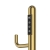 JTP Flo Dry Electric Towel Rail 1661mm H x 182mm W - Brushed Brass | Thumbnail Image