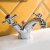 JTP Grosvenor Basin Mixer Tap with Pop Up Waste Cross Handle - Chrome/Black