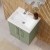 Nuie Arno Wall Hung 2-Door Vanity Unit with Basin-1 500mm Wide - Satin Green | Thumbnail Image