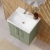 Nuie Arno Wall Hung 2-Door Vanity Unit with Basin-3 500mm Wide - Satin Green | Thumbnail Image