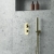 Nuie Arvan Thermostatic Concealed Shower Valve Dual Handle - Brushed Brass
