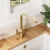Nuie Churni Mono Kitchen Sink Mixer Tap Dual Lever Handle - Brushed Brass | Thumbnail Image