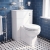Nuie Classique Back to Wall WC Toilet Unit 500mm Wide - Satin White | Thumbnail Image