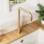 Nuie Kosi Mono Kitchen Sink Mixer Tap Single Lever Handle - Brushed Brass | Thumbnail Image