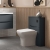 Lunar 550mm Back-to-Wall WC Unit