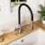 Nuie Ravi Mono Kitchen Sink Mixer Tap Dual Lever Handle - Brushed Nickel | Thumbnail Image