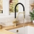Nuie Ravi Mono Kitchen Sink Mixer Tap Dual Lever Handle - Brushed Brass | Thumbnail Image