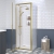 Rene Brushed Brass Pivot Door Square Shower Enclosure - 6mm Glass