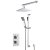 Nuie Twin Square Thermostatic Concealed Complete Mixer Shower with Diverter - Chrome