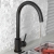 Orbit Manhattan Kitchen Sink Mixer Tap - Black