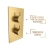 Prestige Ottone Thermostatic Concealed Shower Mixer with Adjustable Slide Rail Kit + Fixed Shower Head - Brushed Brass | Thumbnail Image