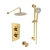 Prestige Ottone Thermostatic Concealed Shower Mixer with Adjustable Slide Rail Kit + Fixed Shower Head - Brushed Brass | Thumbnail Image