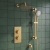 Prestige Ottone Thermostatic Concealed Shower Mixer with Adjustable Slide Rail Kit + Fixed Shower Head - Brushed Brass | Thumbnail Image
