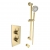 Prestige Ottone Thermostatic Concealed Shower Mixer with Adjustable Slide Rail Kit - Brushed Brass