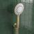 Prestige Ottone Thermostatic Concealed Shower Valve with Overhead Drencher and Sliding Handset - Brushed Brass | Thumbnail Image