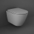 RAK Feeling Rimless Wall Hung Toilet with Soft Close Seat - Matt Grey | Thumbnail Image