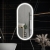 RAK Picture Oval LED Illuminated Bathroom Mirror with Demister Pad 1000mm H x 450mm W - Brushed Nickel | Thumbnail Image