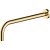 RAK Wall Mounted Shower Arm 350mm Length - Brushed Gold