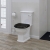 RAK Washington Close Coupled Toilet with Horizontal Outlet & Lever Cistern - Black Seat