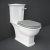 RAK Washington Close Coupled Toilet with Horizontal Outlet & Lever Cistern - Matt Grey Seat