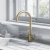 Rangemaster Aquatrend Dual Lever Kitchen Sink Mixer Tap - Brushed Brass