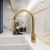Rangemaster Aquatrend Dual Lever Kitchen Sink Mixer Tap - Brushed Brass