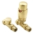 Reina Modal TRV Straight Radiator Valve and Lockshield, Brushed Brass | Thumbnail Image