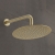 Sagittarius Morella Slim Fixed Shower Head and Arm 250mm Diameter - Brushed Brass