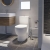 Saniflo Saniflush Rimless Close Coupled Toilet with Push Button Cistern and Built-In Macerator Pump - Soft Close Seat