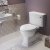 Signature Aphrodite Low Level Toilet with Lever Cistern - Satin White Ash Soft Close Seat