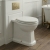 Signature Aphrodite Traditional Comfort Height Back to Wall Toilet with Brushed Brass Fittings (inc Soft Close Seat) | Thumbnail Image