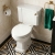 Signature Aphrodite Traditional Close Coupled Toilet with Brushed Brass Fittings (inc Soft Close Seat) | Thumbnail Image