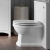 Signature Copenhagen Back to Wall WC Toilet Unit 500mm Wide - Satin White Ash