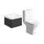 Signature Celeste Bathroom Suite with Wall Hung Vanity Unit 500mm Wide - Matt Black